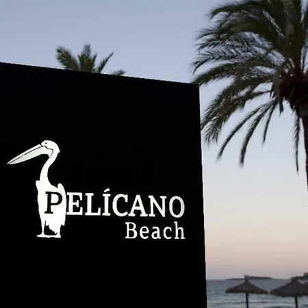 Be Live Experience Costa Palma (adults Only) Hotell Cala Major (Mallorca)